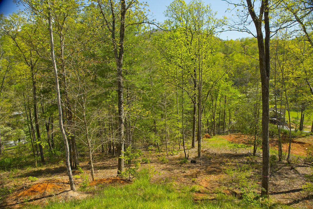 Cullowhee River Club Homesite 49 Flickr