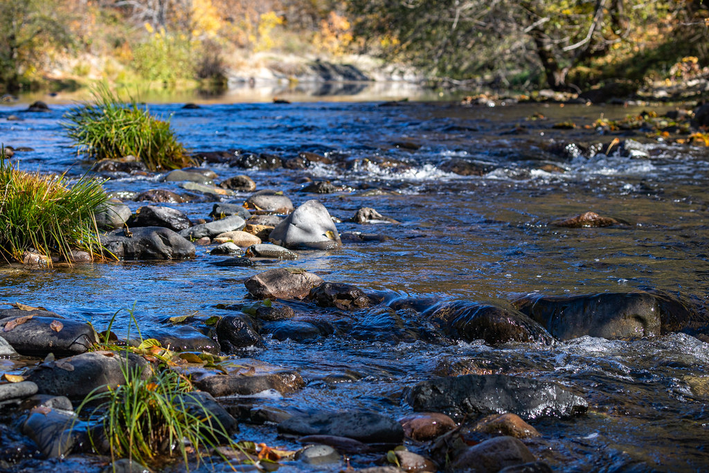Elk Creek Wild & Scenic River View of the Elk Creek Wild a… Flickr