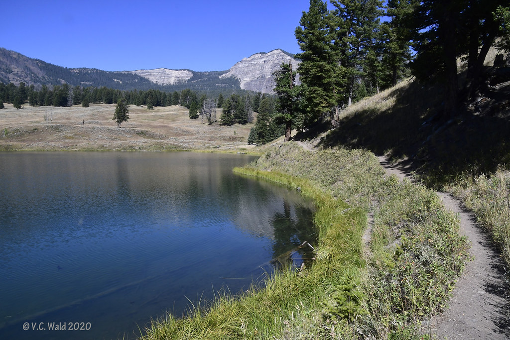 The trail to trout bull bison around the corner! At the e… Flickr