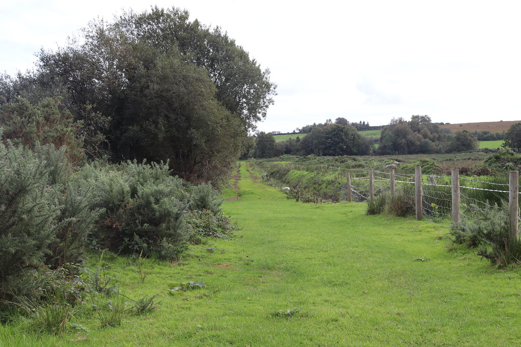 Sarsfield's Road Flickr