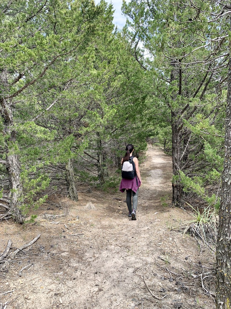 Hiking Nebraska National Forest at Halsey Christine Warner Flickr