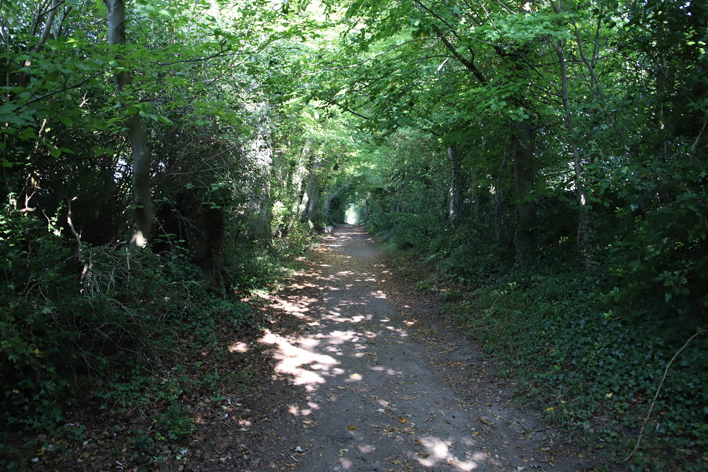 Woodland path Northfield Stephen Middleton Flickr