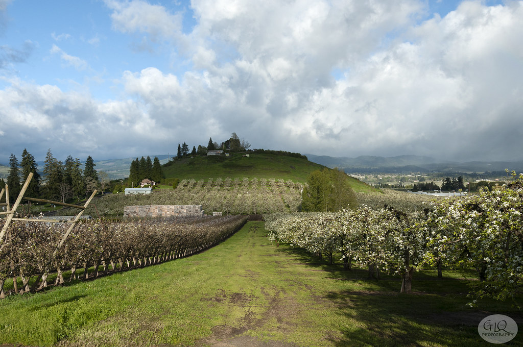 Little Butte, Pine Grove, Oregon I call that little pimple… Flickr