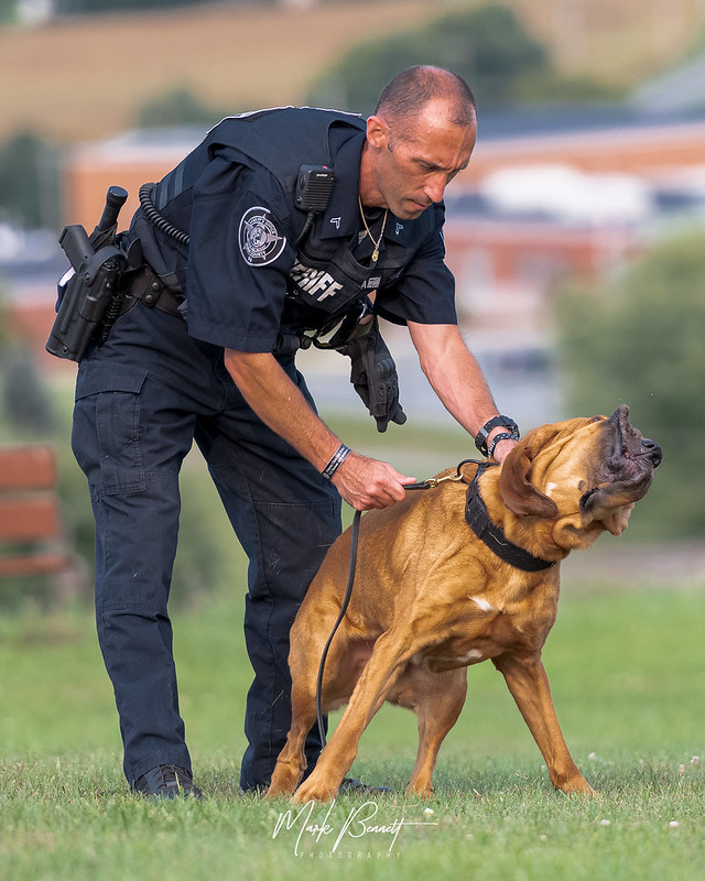 York County PA Sheriff's Department K9 Unit Flickr