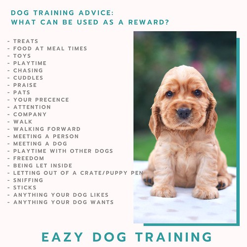 Best Dog Trainer Sydney The dog training methods used in m… Flickr