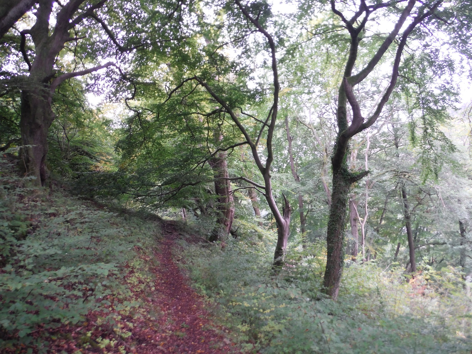 Photo slideshow The Clydach (Brynmawr to Abergavenny or vice