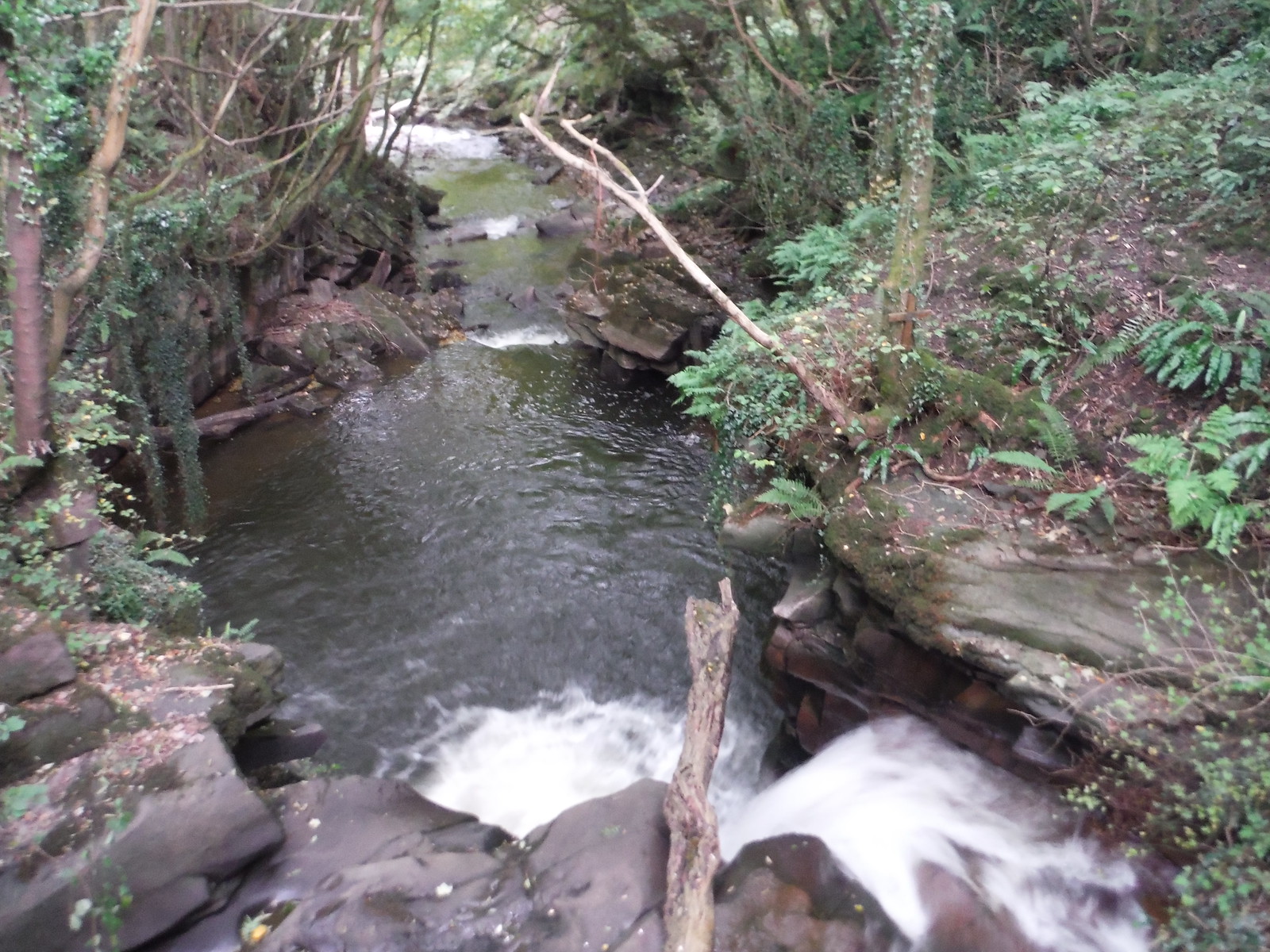 Photos The Clydach (Brynmawr to Abergavenny or vice versa) Walk SWC