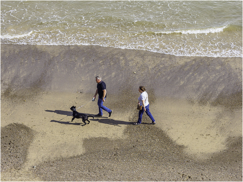Walking the dog on the beach Saltburn by the Sea, England Flickr