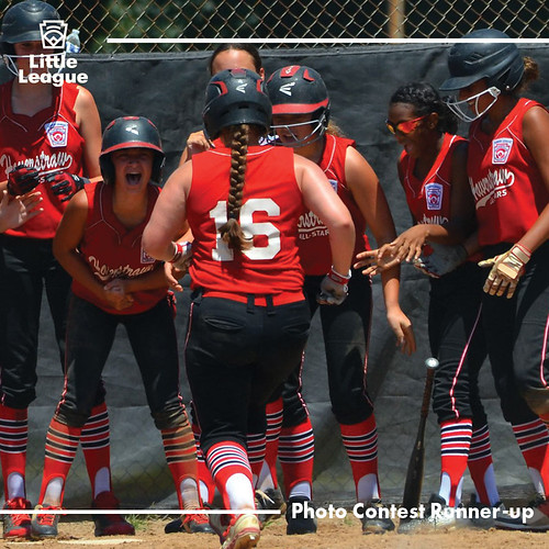 Plains Little League baseball photo wins Little League Photo Contest in
