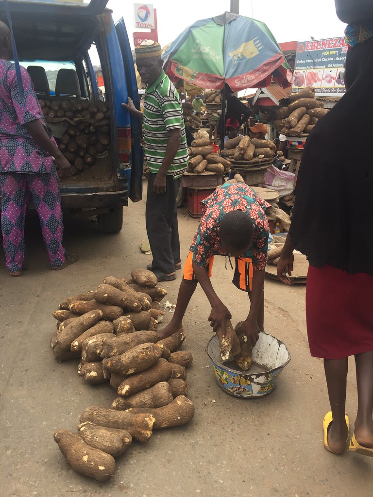 African Yams in Oje Market ibadan Oyo State Nigeria Flickr
