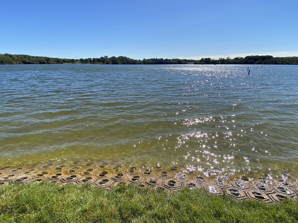 Blue Marsh Lake A view of Blue Marsh Lake in Blue Marsh Na… Flickr