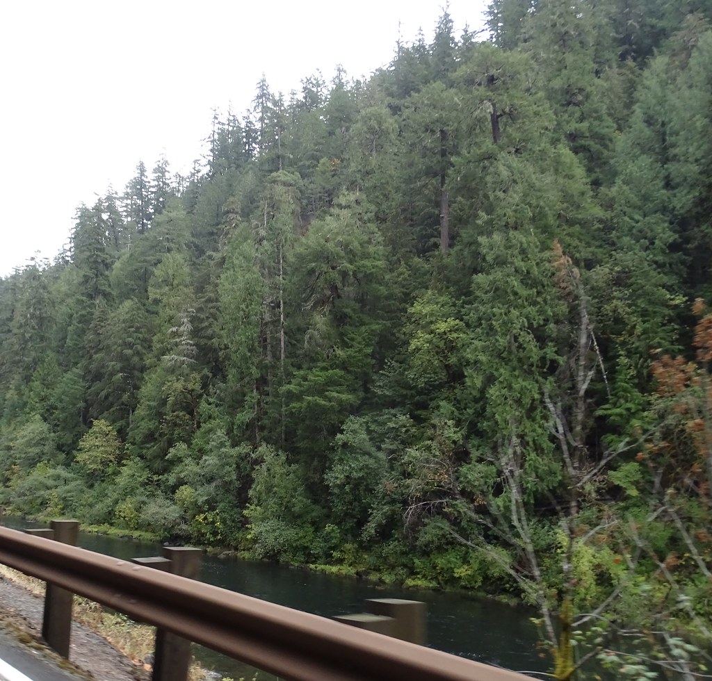 Hwy 138e, MP 30, looking south DSC07700 Francis Eatherington Flickr