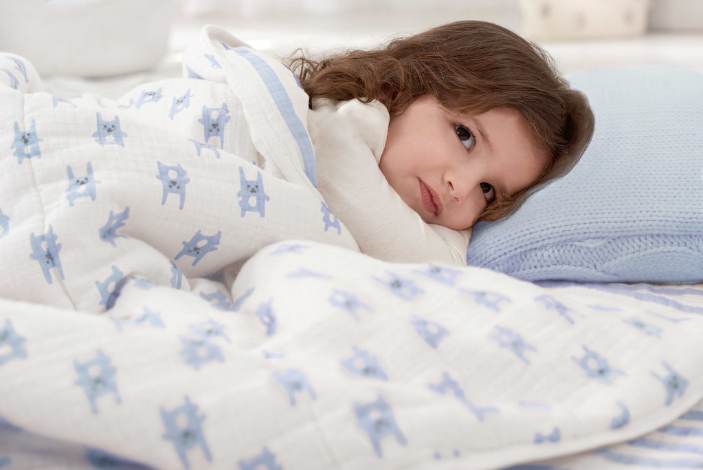 A Comfy and Versatile Receiving Blanket From aden + anais Flickr