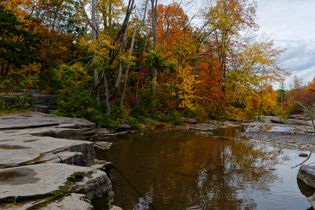 Fox Creek Berne, New York. Paul Flickr