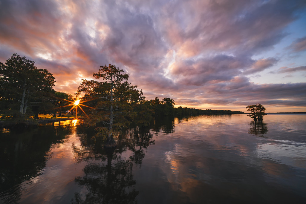 Elevation of North Main Street, N Main St, Hornbeak, TN, USA