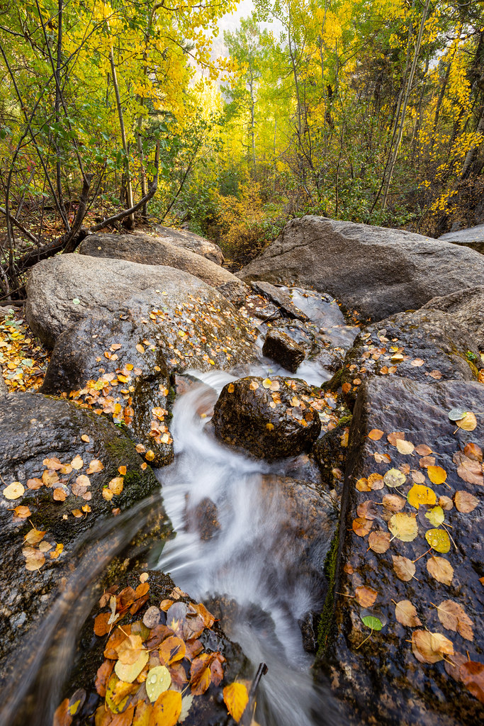 IMG_2822 Green Mountain Falls, Colorado. October 2020. … Flickr