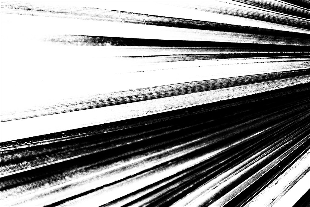 megaphone diplomacy Francis Mansell Flickr