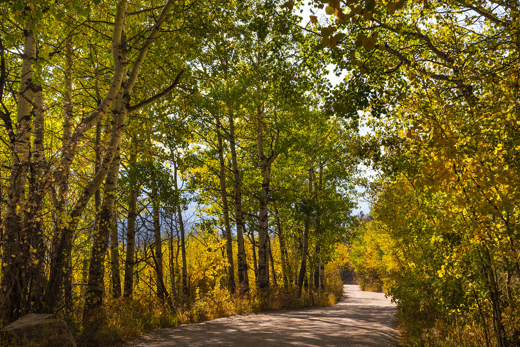 Enchanting Roadway Cub Lake Road, Rocky Mountain National … Flickr