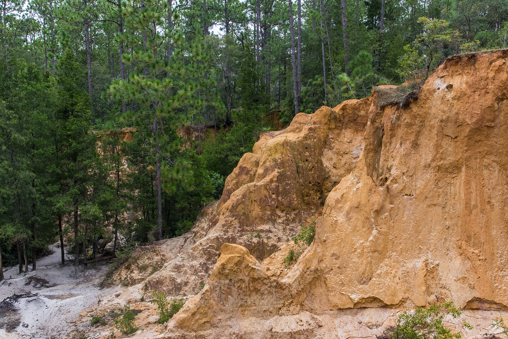 Red Clay Cliffs Blackwater River State Forest, Milton, Flo… Travel