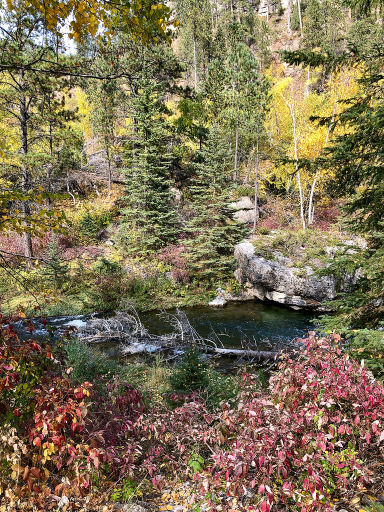 Spearfish Canyon Fall Colors (Photo by Public Affairs, USD… Flickr