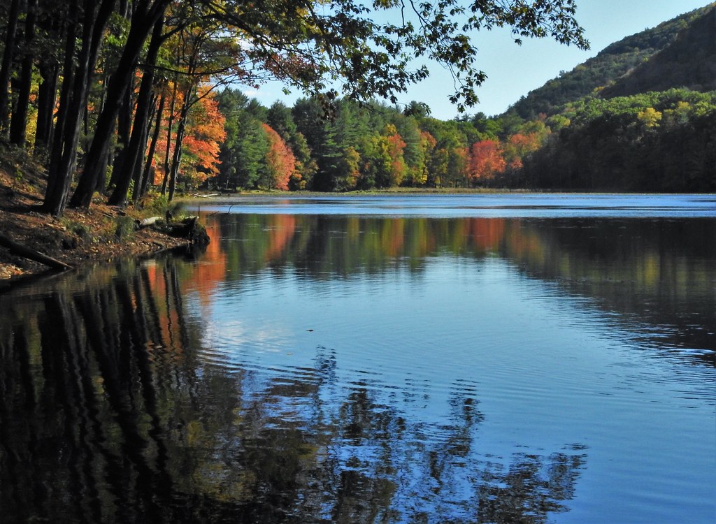 Cranberry Pond Sunderland MA Jane Lazarz Flickr