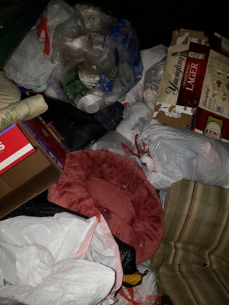 Dumpster 411 Princeton Trash Flickr