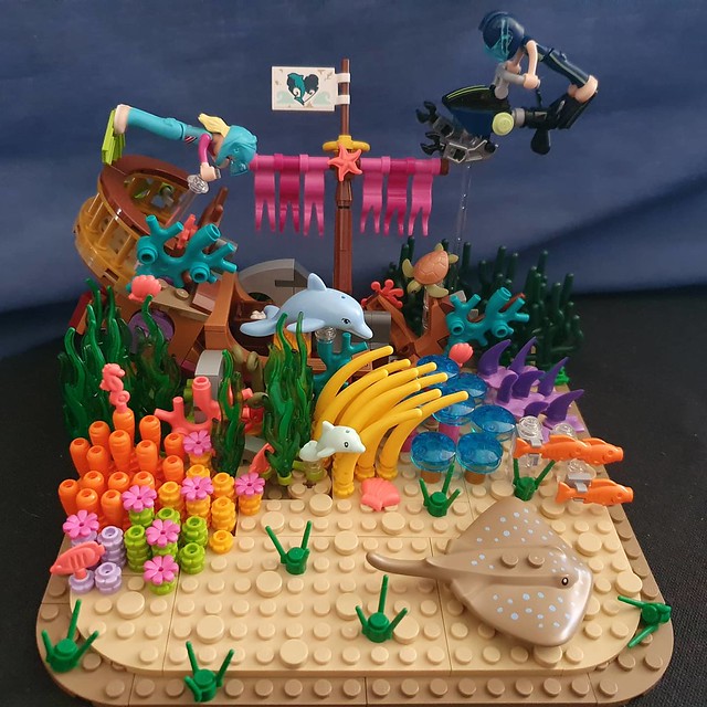 Flickr The LEGO Friends Pool