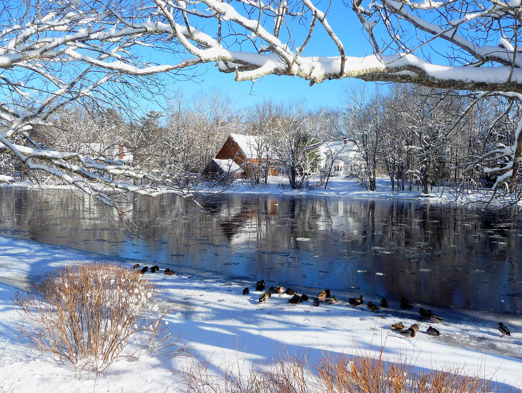 The Medway River at Mill Village, Nova Scotia Allyn Barton