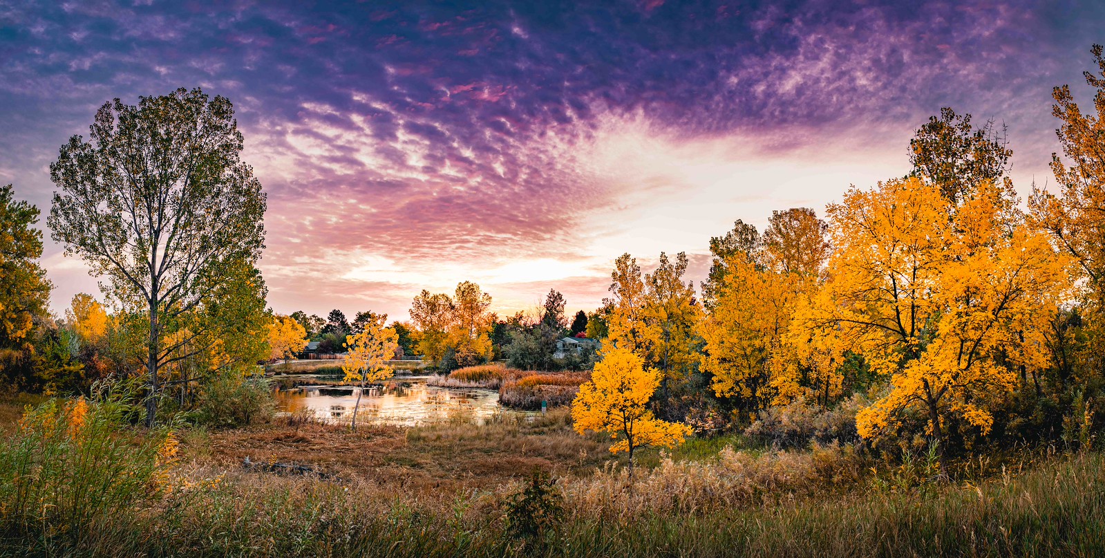 Fall Colors 2020 Flickr