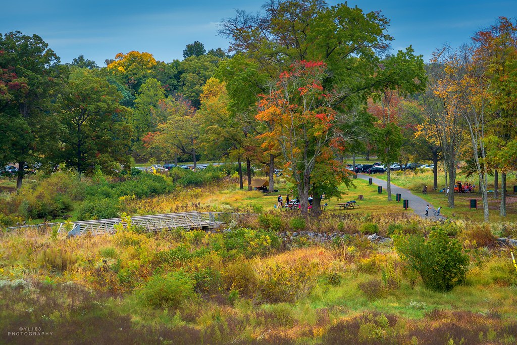 Lake Fairfax Park in Autumn YL168 Flickr
