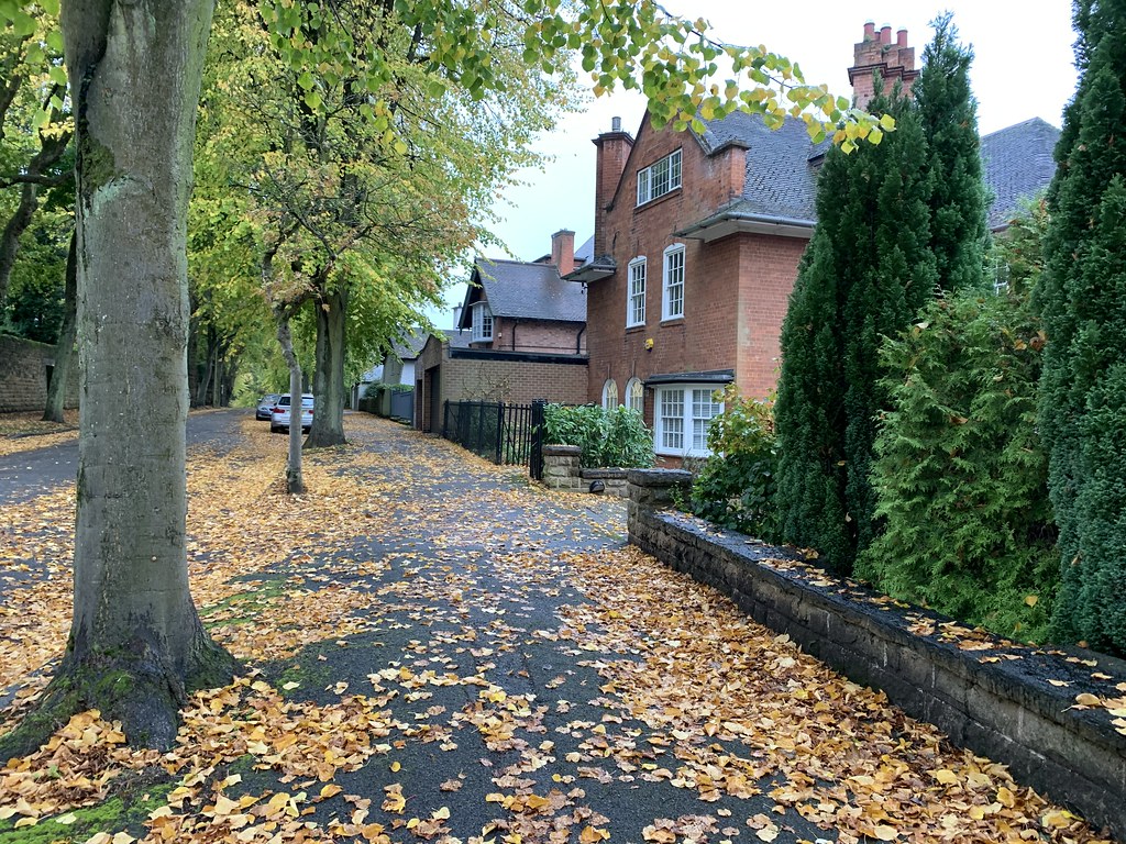 Autumn in Mapperley Park, Nottingham. Andrew Taylor Flickr