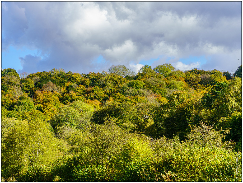 Warburg Nature Reserve Near Bix Bottom, Oxfordshire Flickr