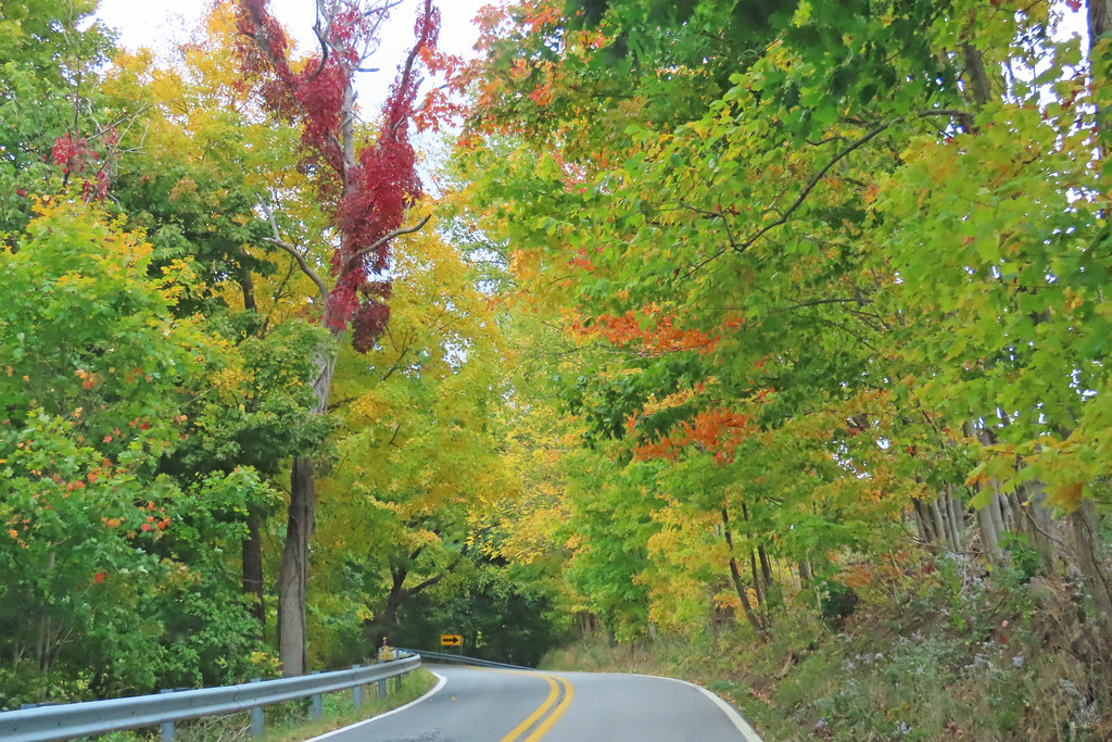 Country Roads Autumn Wheeling WV Stone Church Road Autum… Flickr