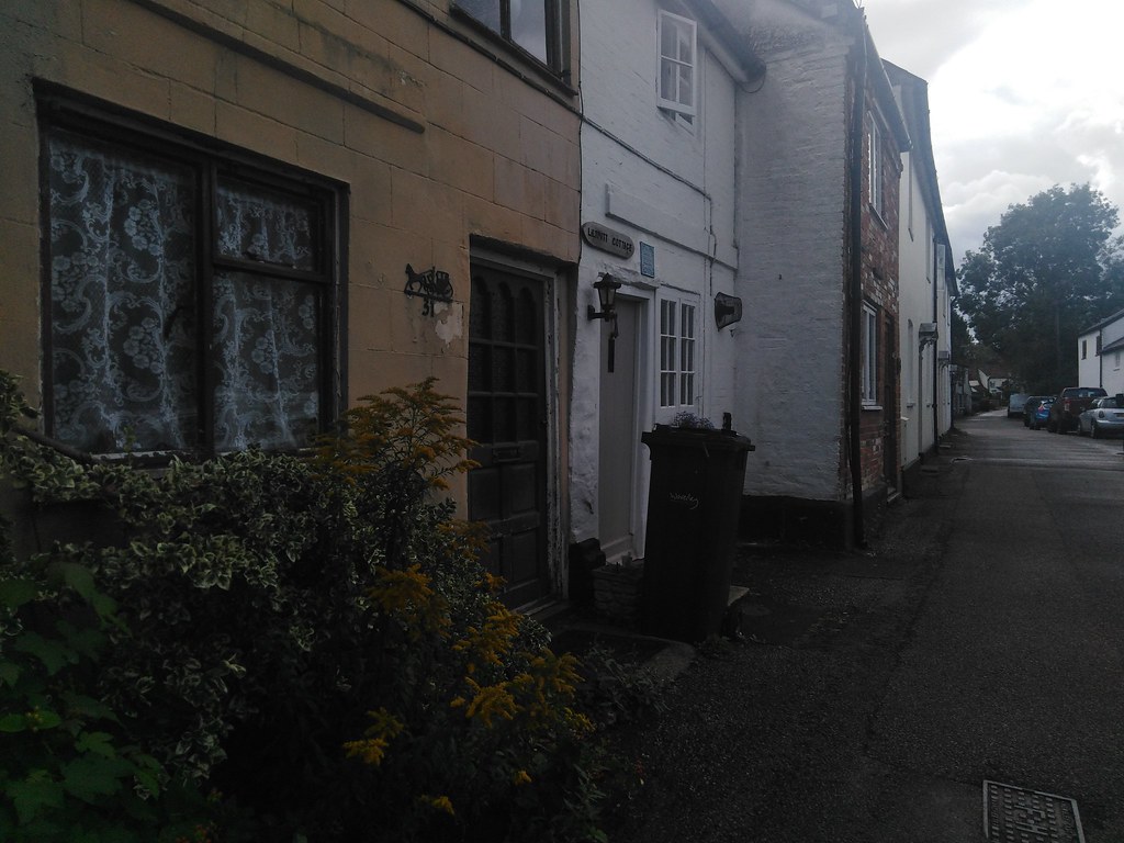 IMG_20200818_135445 Wilson Flickr