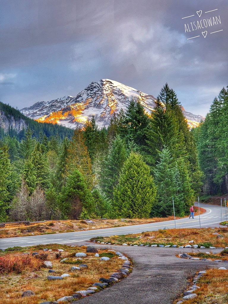 Mt. Rainier Looking at Mt. Rainier from the Nisqually Inn … Flickr