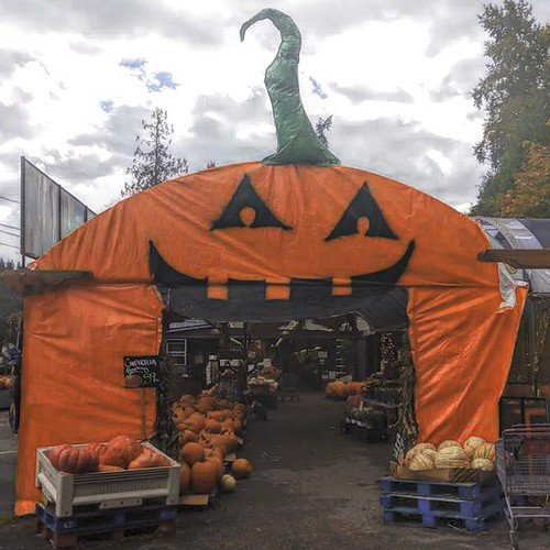 Pumpkin Entrance Yakima Fruit Stand Bothell, WA Mr.LeeCP Flickr
