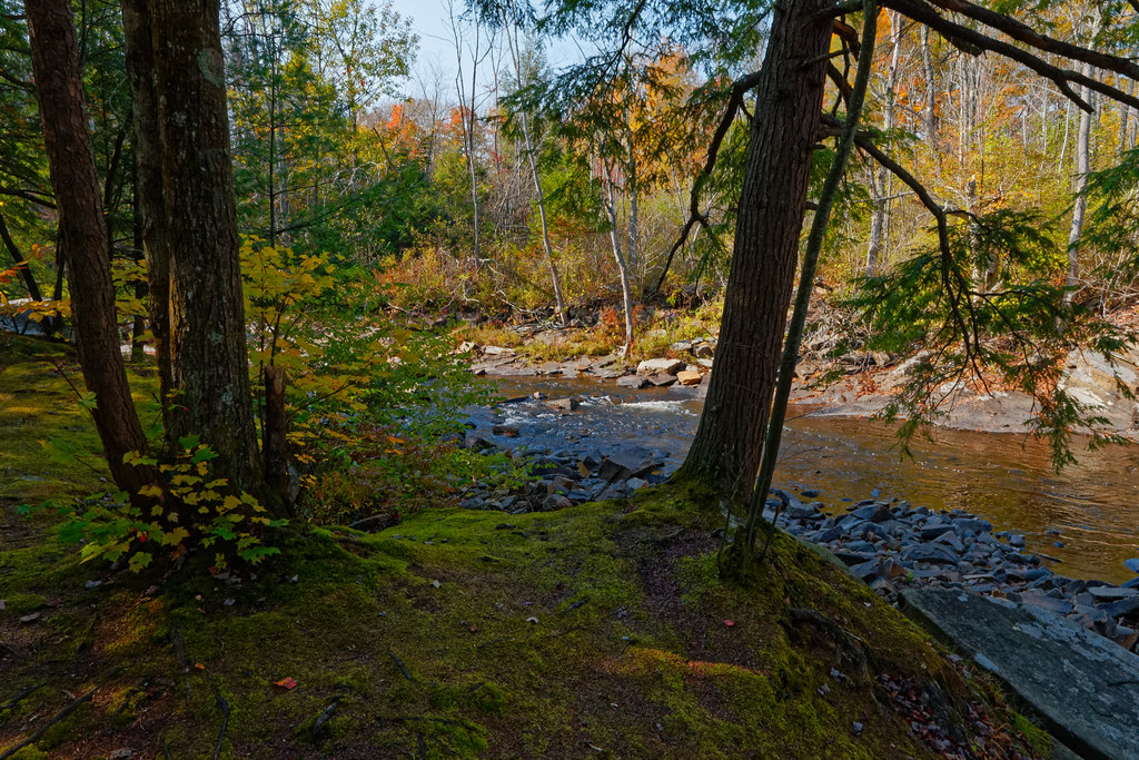 Elevation of Dairy Hill Rd, Newport, NY, USA Topographic Map