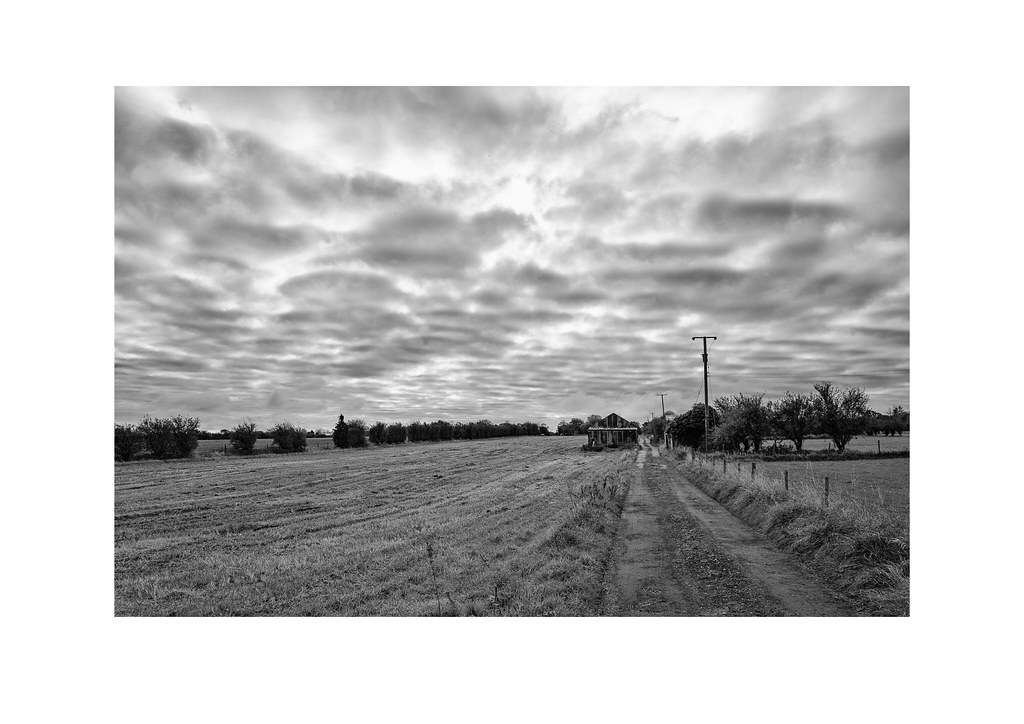 Great Gutter Lane Willerby, East Riding of Yorkshire Ian Dolphin