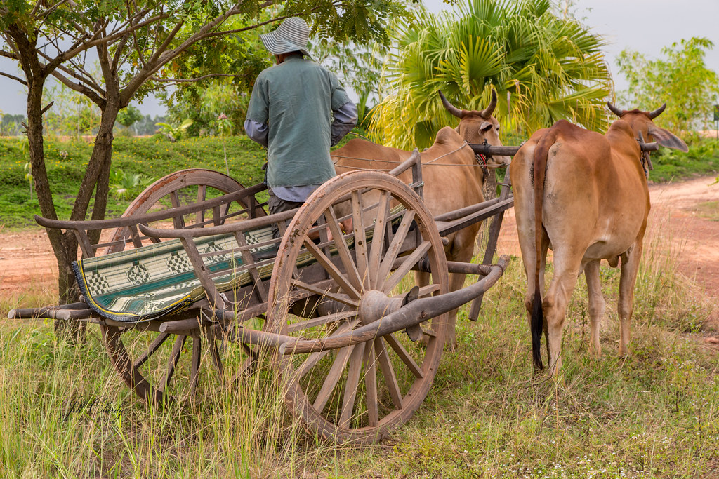 Armchair Traveling A Ride in a "Cambodian BMW" Today's e… Flickr