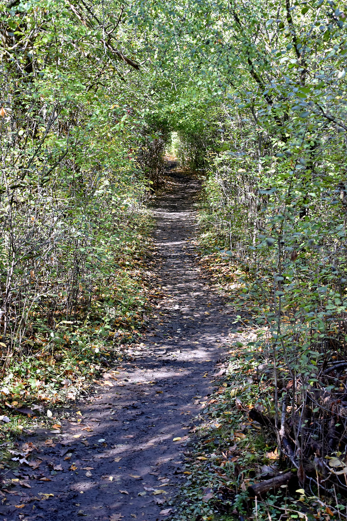 Mud Lake Trail 1347a It might be called 'Mud Lake' because… Flickr