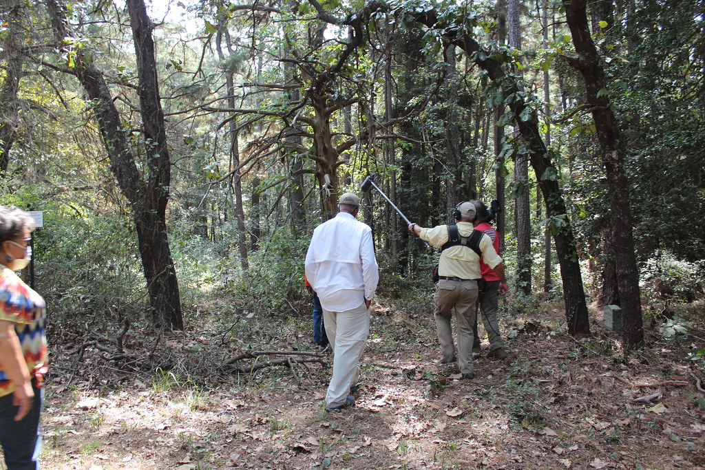 2020 Sept 18 Old Mount Gillion Cemetery Flickr