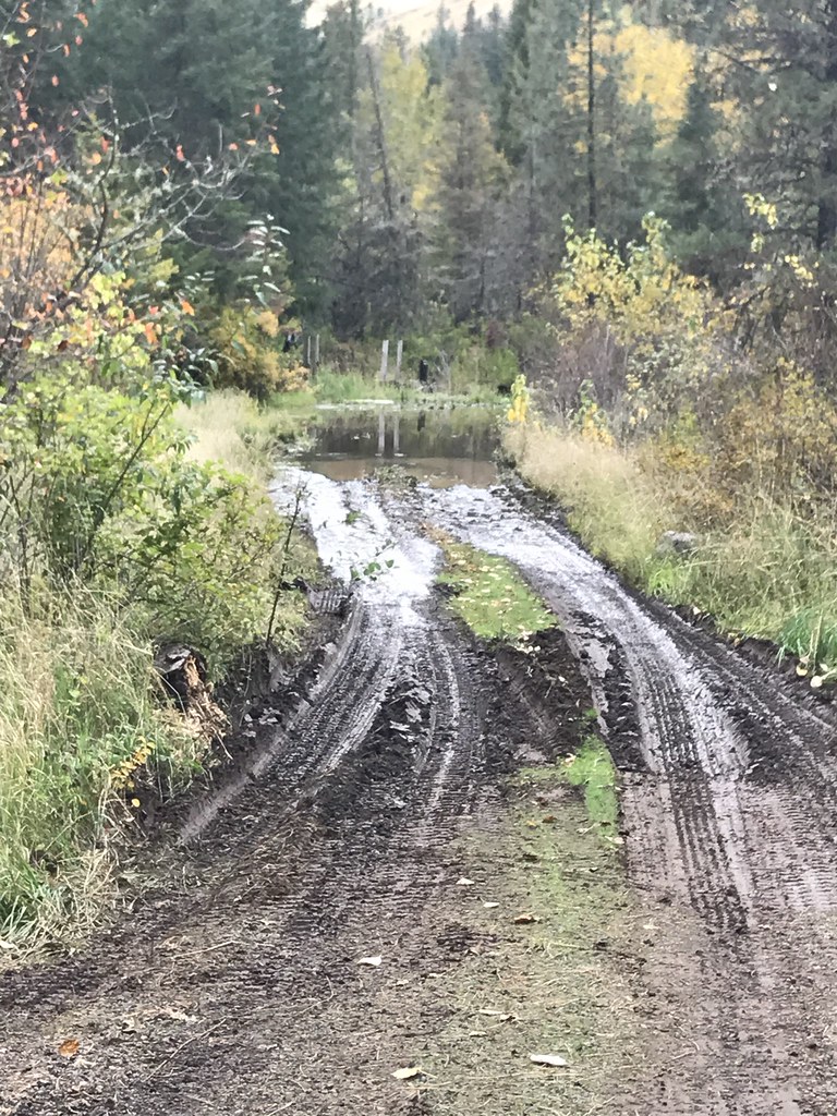 Forest Service Road 32 (Umatilla River) Repair continues o… Flickr