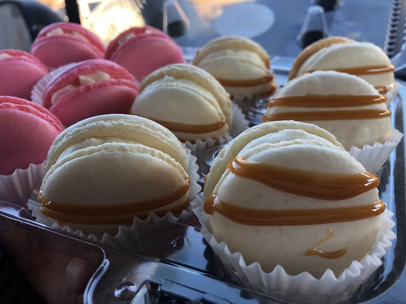 Bridgeport Edition My Little Cupcake Candace Lately