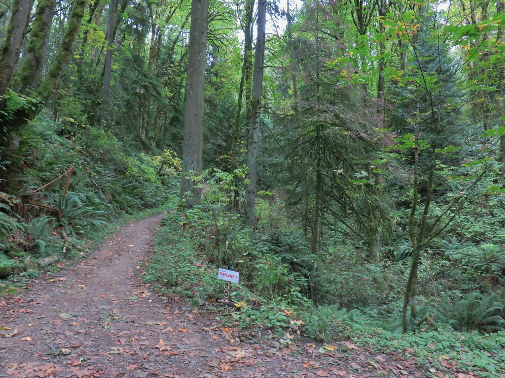 Forest Park Loop (Leif Erikson, Wild Cherry, Wildwood and Nature Trails