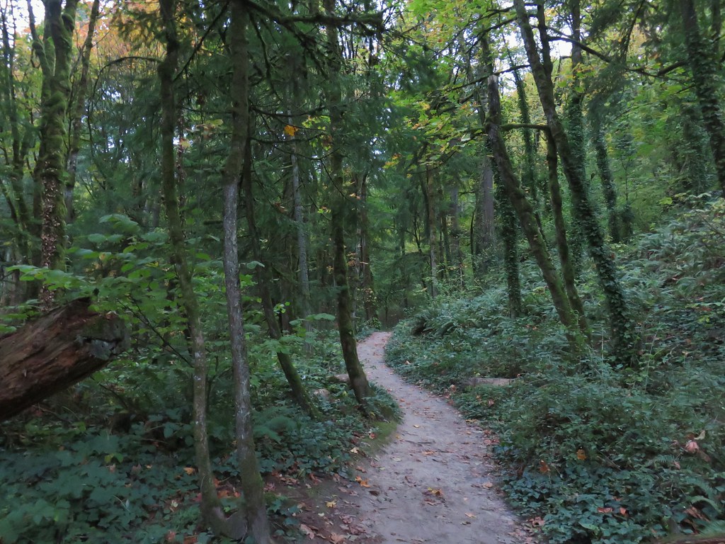 Forest Park Loop (Leif Erikson, Wild Cherry, Wildwood and Nature Trails