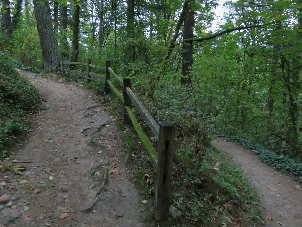 Forest Park Loop (Leif Erikson, Wild Cherry, Wildwood and Nature Trails