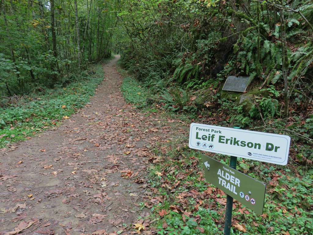 Forest Park Loop (Leif Erikson, Wild Cherry, Wildwood and Nature Trails