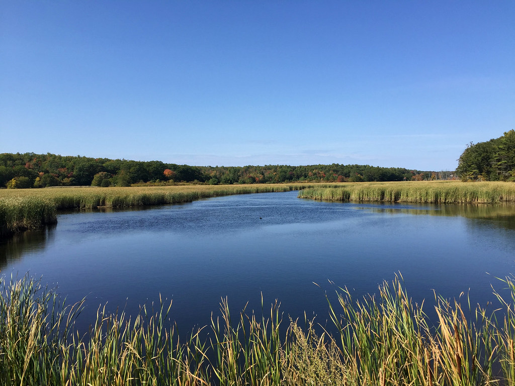 Pleasant Cove Woolwich, Maine (2) Woolwich, Maine Brian Wilcox