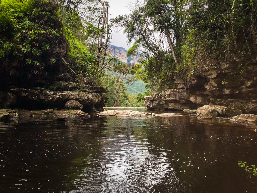 Vale do Pati Chapada Diamantina Trekking Vale do Pati Ch… Flickr