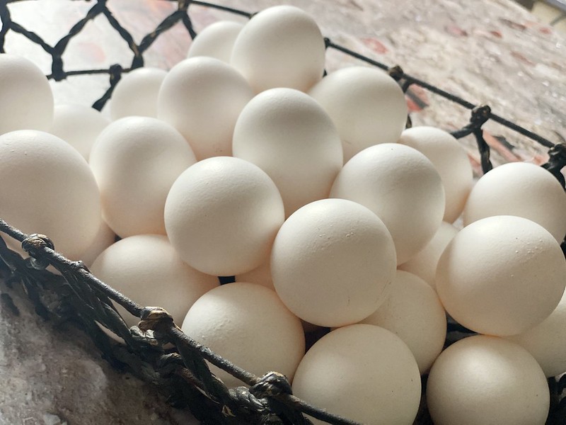 Four reasons why you should choose cagefree eggs Jellybeans in the City